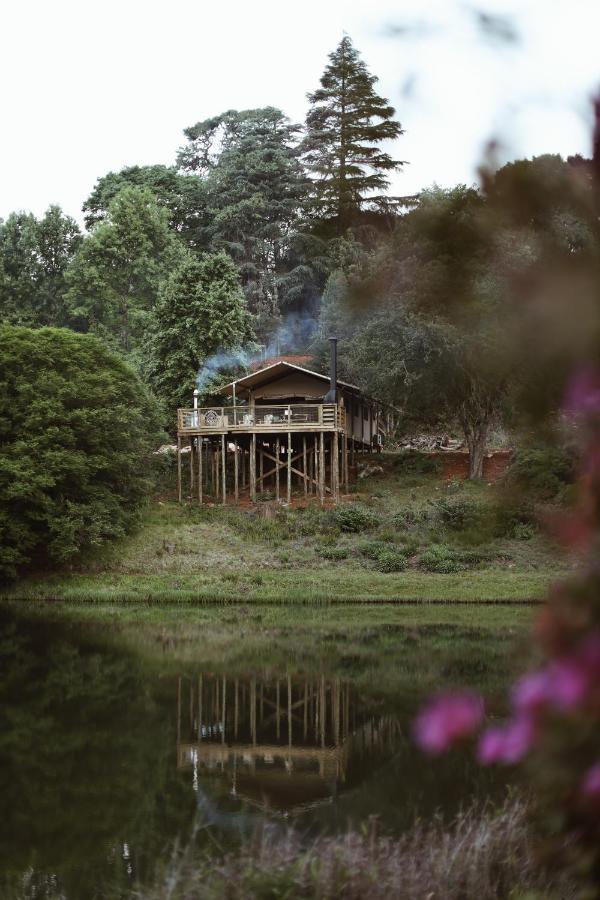 Africamps Magoebaskloof Villa Екстериор снимка