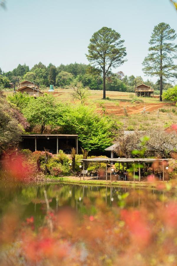 Africamps Magoebaskloof Villa Екстериор снимка