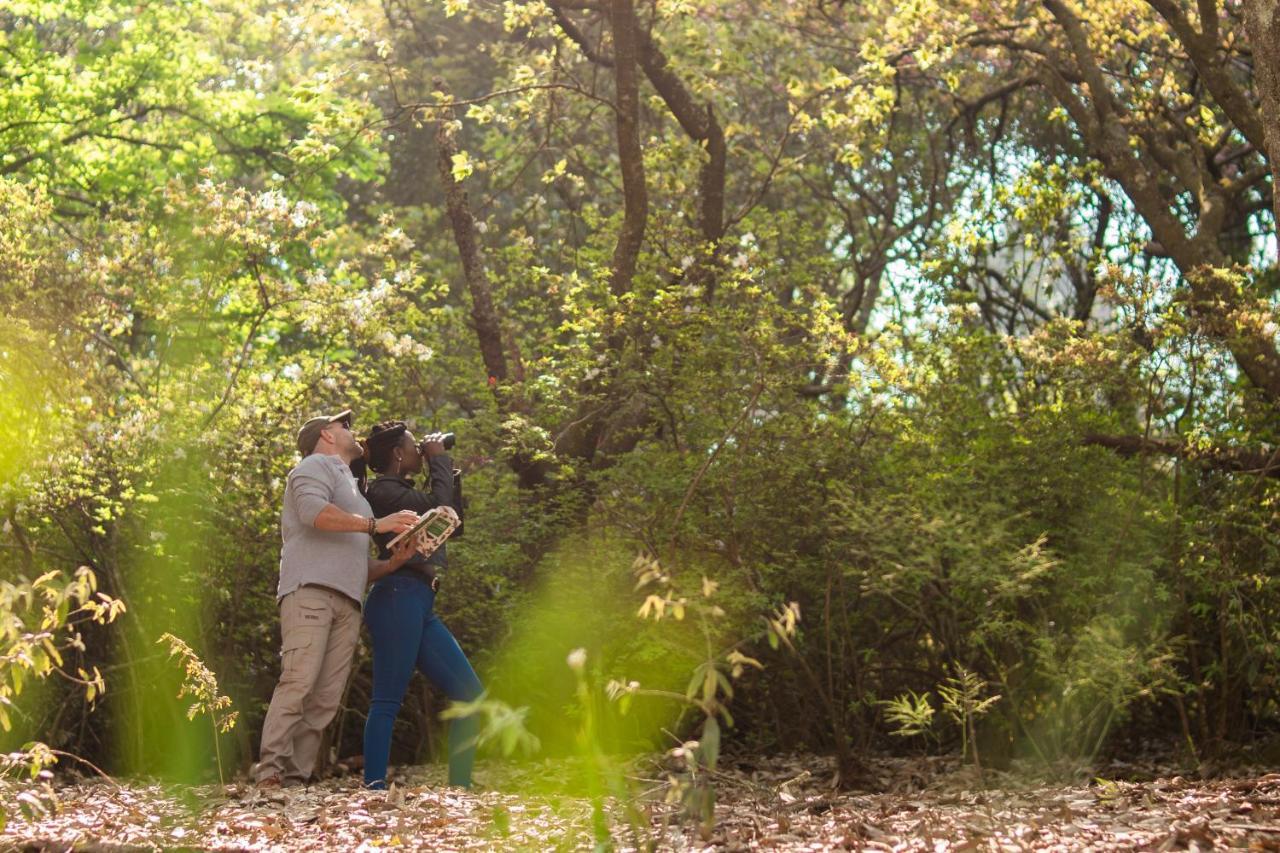 Africamps Magoebaskloof Villa Екстериор снимка